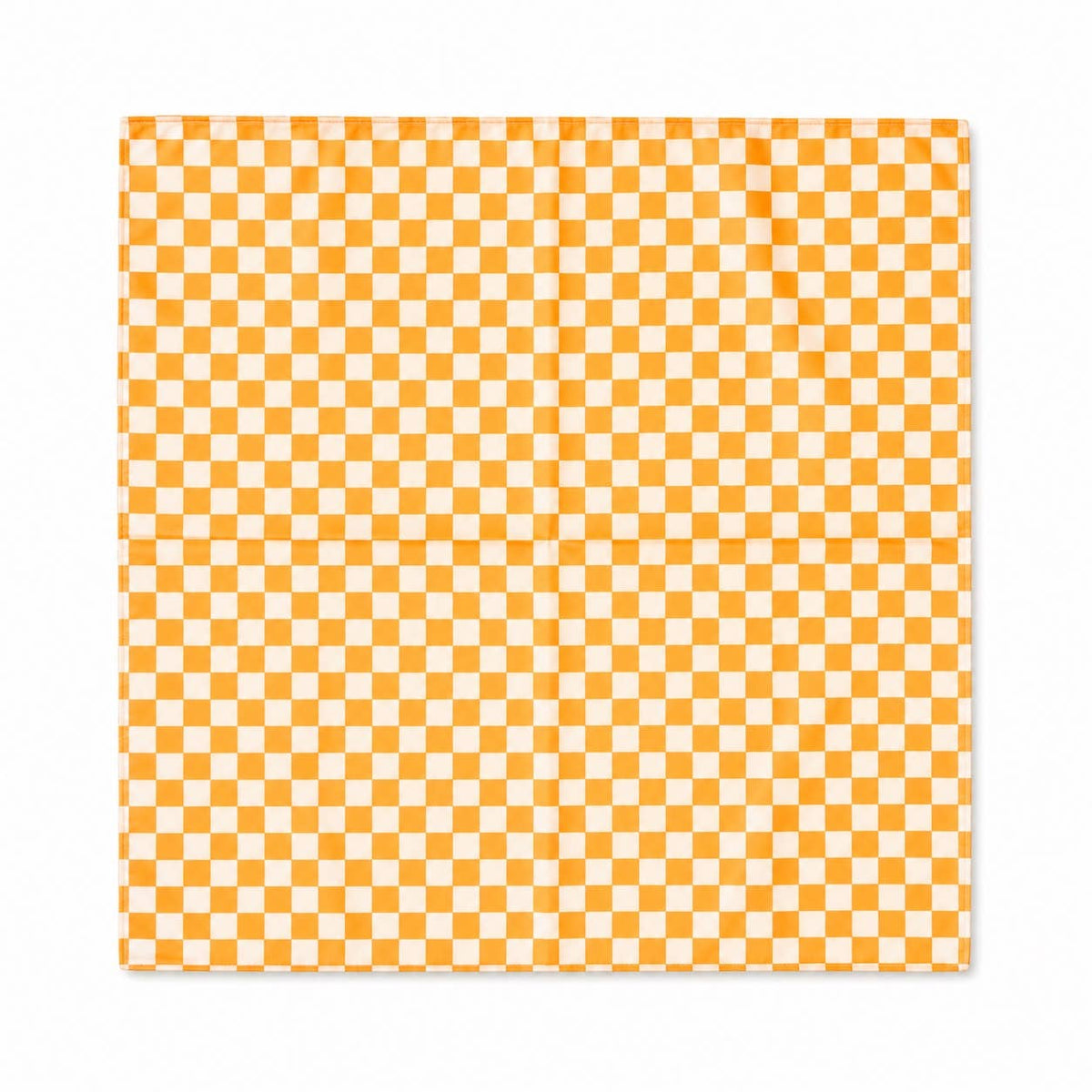 Game Day Checkered Satin Scarf: Blue