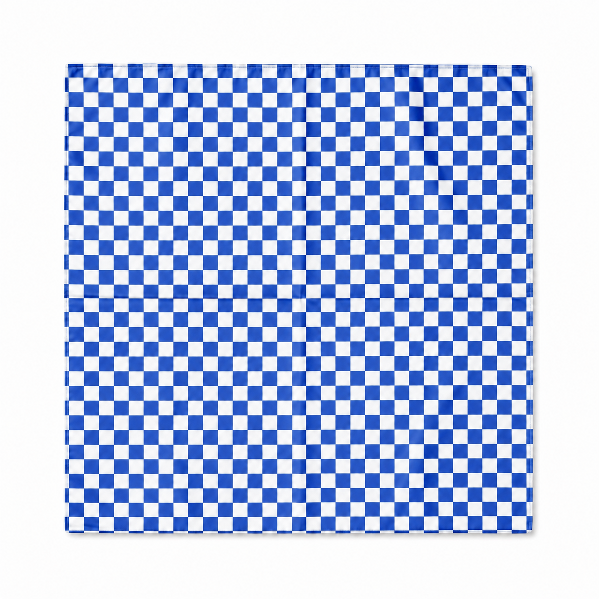 Game Day Checkered Satin Scarf: Blue