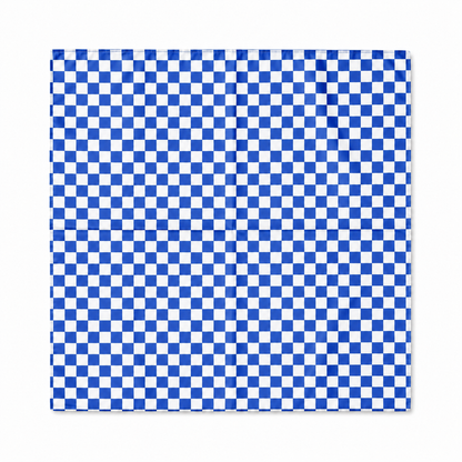 Game Day Checkered Satin Scarf: Blue